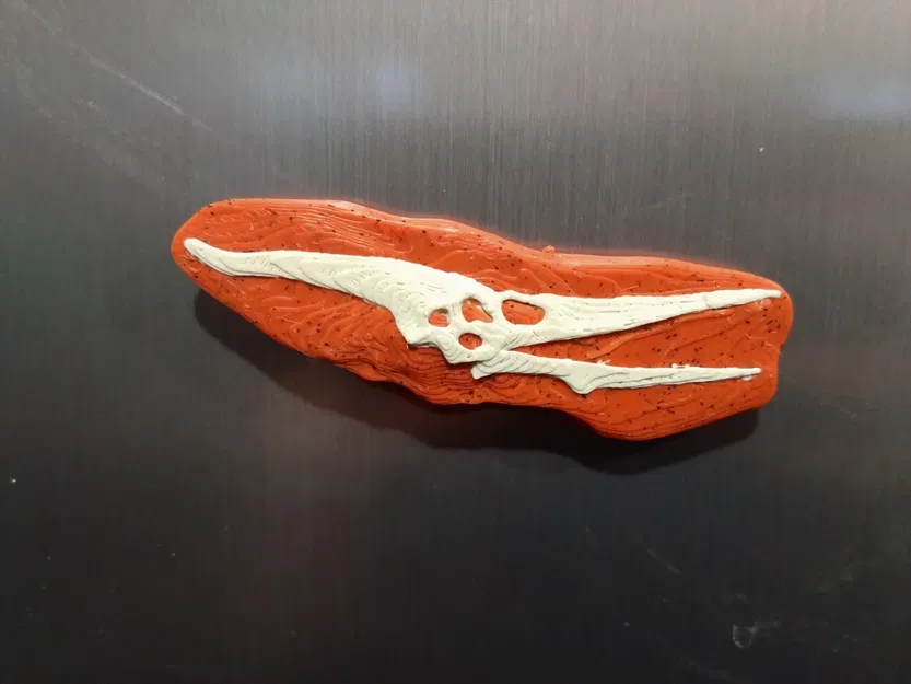 Nam châm hộp sọ khủng long in 3D độc đáo - Image 8