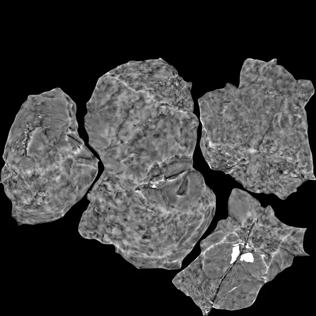 Đá tự nhiên quét ảnh chân thực cho trang trí nội thất - Image 2