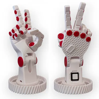 Bàn tay robot có thể tạo dáng (bàn tay phải)