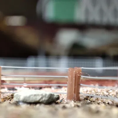 Hàng rào đồng cỏ quy mô N cho mô hình đường sắt