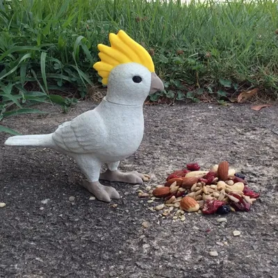 Chim Cockatiel dễ thương cho trò chơi nhập vai