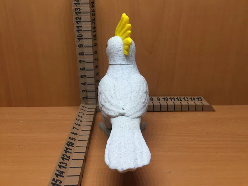 Chim Cockatiel dễ thương cho trò chơi nhập vai - Image 4