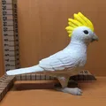 Chim Cockatiel dễ thương cho trò chơi nhập vai - Thumbnail 5