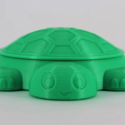 Hộp lưu giữ kỷ niệm Rùa Retro cho trẻ em