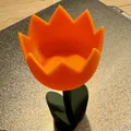 Trang trí bàn hoa tulip cho lễ Phục Sinh và giá đỡ trứng - Thumbnail 9
