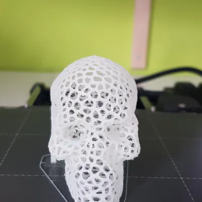 Đầu lâu Voronoi tiết kiệm vật liệu tối đa