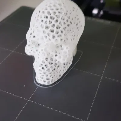 Đầu lâu Voronoi tiết kiệm vật liệu tối đa