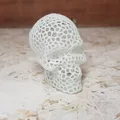 Đầu lâu Voronoi tiết kiệm vật liệu tối đa - Thumbnail 8