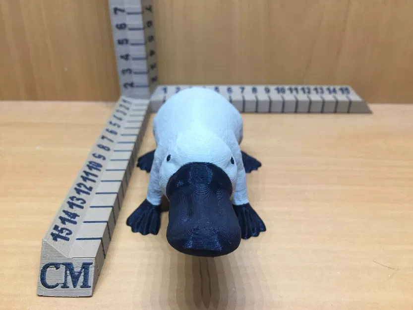 Nhân vật thú mỏ vịt trong thế giới Dungeons & Dragons - Image 2