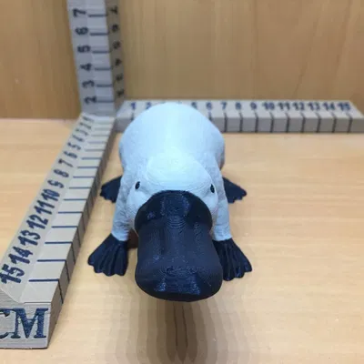 Nhân vật thú mỏ vịt trong thế giới Dungeons & Dragons