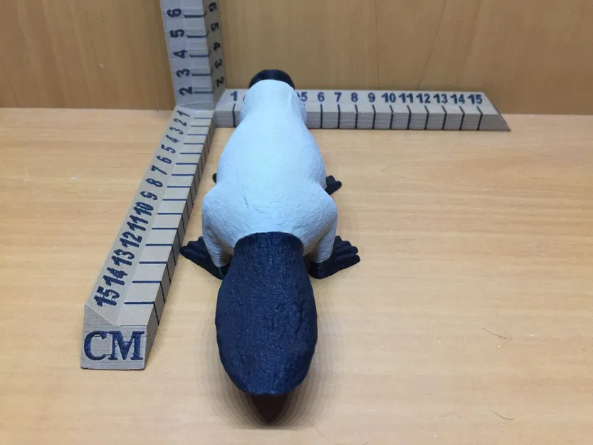 Nhân vật thú mỏ vịt trong thế giới Dungeons & Dragons - Image 4