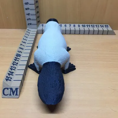 Nhân vật thú mỏ vịt trong thế giới Dungeons & Dragons