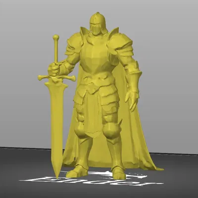 Hiệp sĩ với kiếm và áo choàng