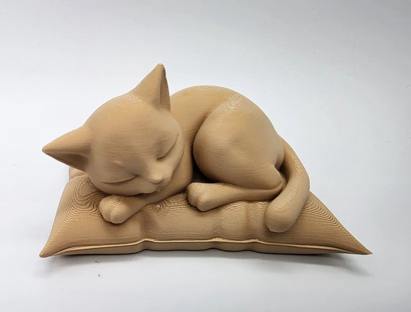 Mèo ngủ trên gối mềm mại - Image 3