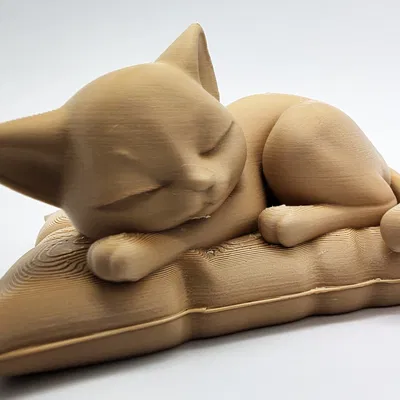 Mèo ngủ trên gối mềm mại