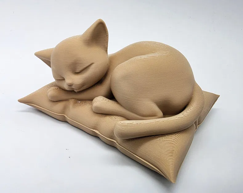 Mèo ngủ trên gối mềm mại - Image 5