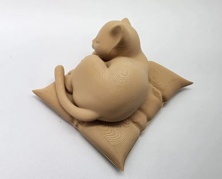 Mèo ngủ trên gối mềm mại - Image 6