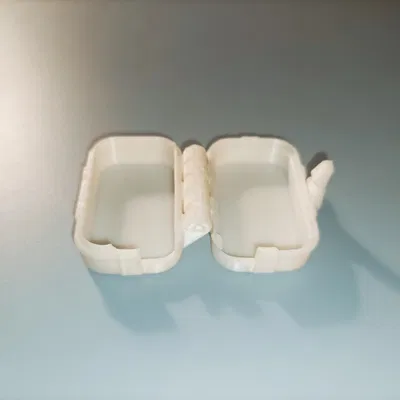 Hộp đựng bàn chải đánh răng du lịch in tại chỗ vừa vặn