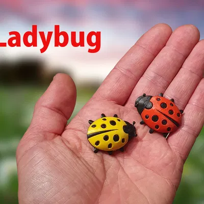 Nhân vật bọ rùa dễ thương trong phong cách 3D