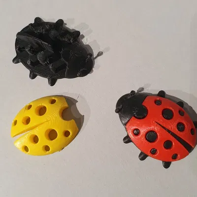 Nhân vật bọ rùa dễ thương trong phong cách 3D