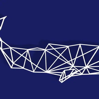 Cá voi tinh khôn hình học lớn có thể tùy chỉnh kích thước