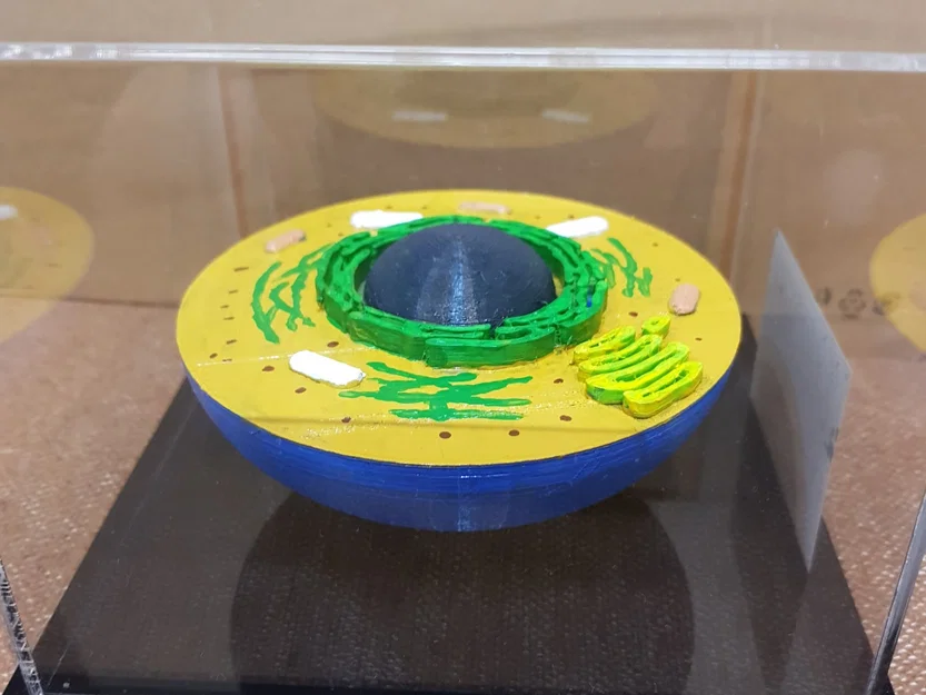 Tế bào động vật 3D chi tiết và sinh động - Image 1