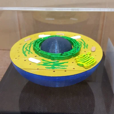 Tế bào động vật 3D chi tiết và sinh động
