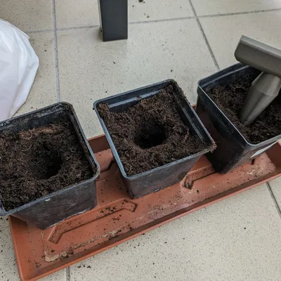 Công cụ khoan hạt giống đơn giản cho việc trồng cây