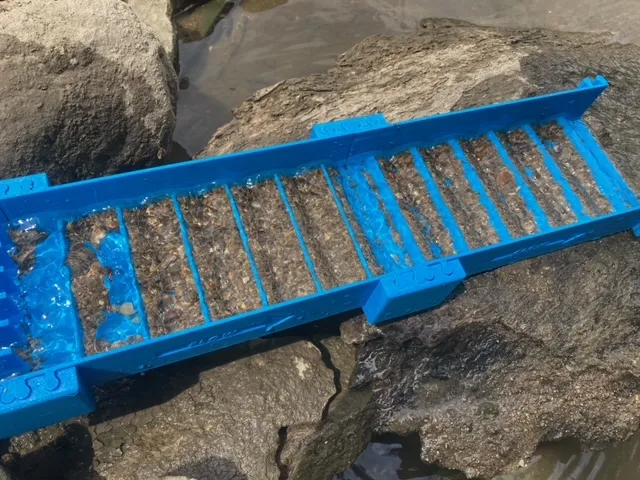 Hộp rửa vàng di động cho chuyến đi phượt - Image 5