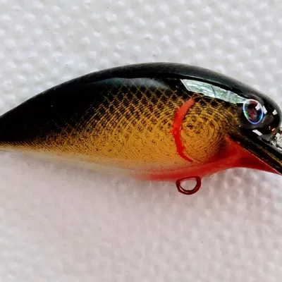 Bộ sưu tập mồi câu cá #1