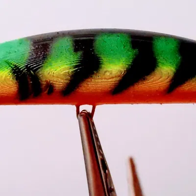 Bộ sưu tập mồi câu cá #1