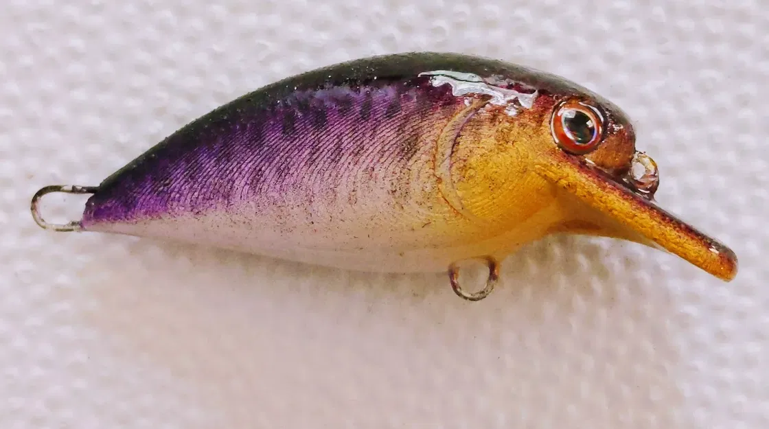 Bộ sưu tập mồi câu cá #1 - Image 3