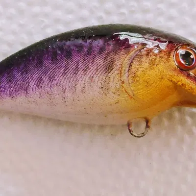 Bộ sưu tập mồi câu cá #1