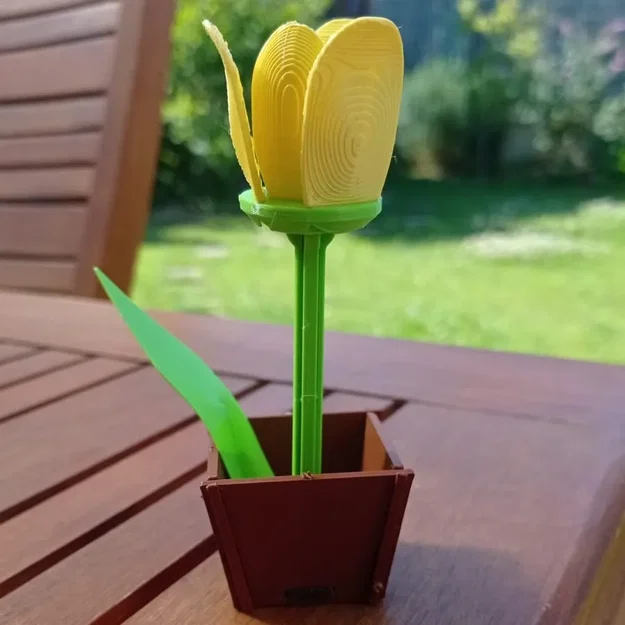 Thẻ quà tặng làm hoa tulip tự chế - Image 1