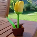Thẻ quà tặng làm hoa tulip tự chế - Thumbnail 1
