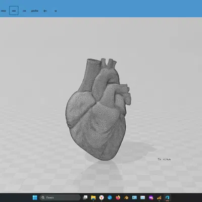 Tim người mẫu giải phẫu tạo ra bởi trí tuệ nhân tạo