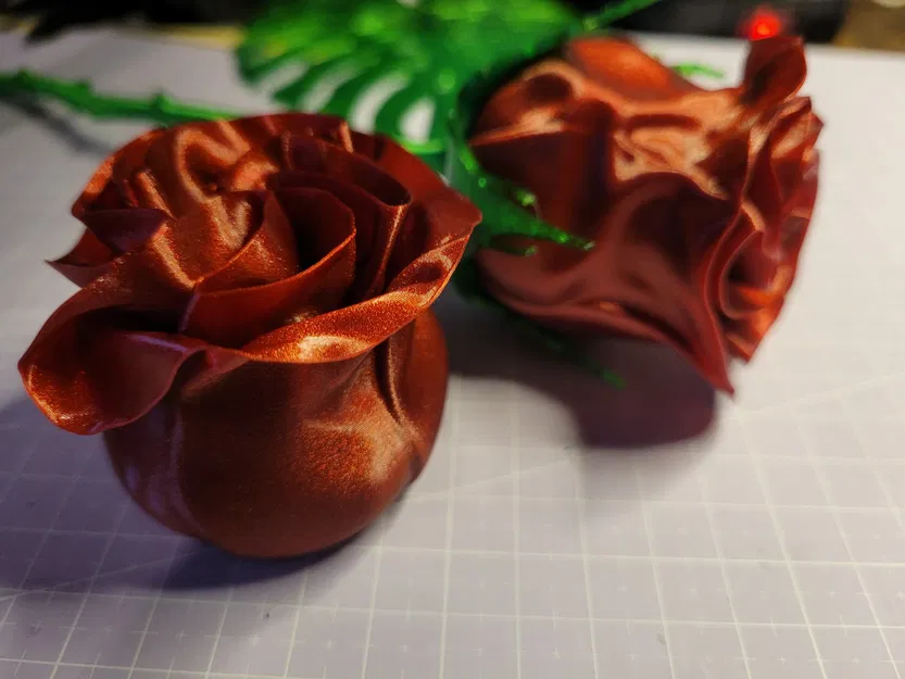 Hoa hồng biến hình với thân gai và lá đẹp - Image 1