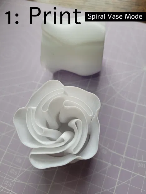 Hoa hồng biến hình với thân gai và lá đẹp - Image 2