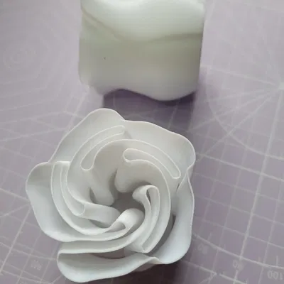 Hoa hồng biến hình với thân gai và lá đẹp