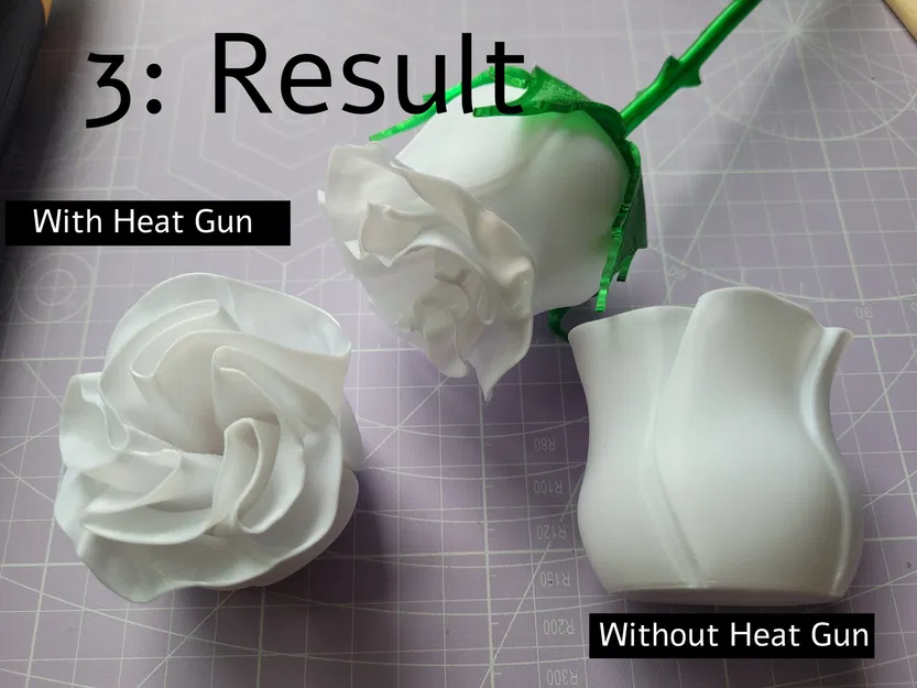 Hoa hồng biến hình với thân gai và lá đẹp - Image 4