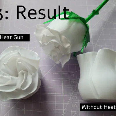 Hoa hồng biến hình với thân gai và lá đẹp