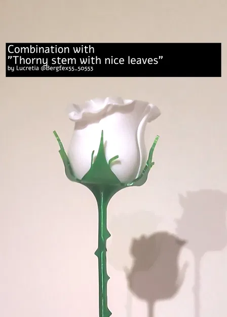 Hoa hồng biến hình với thân gai và lá đẹp - Image 6