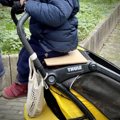 Giá đỡ ngồi cho trẻ em trên xe đẩy Thule Chariot