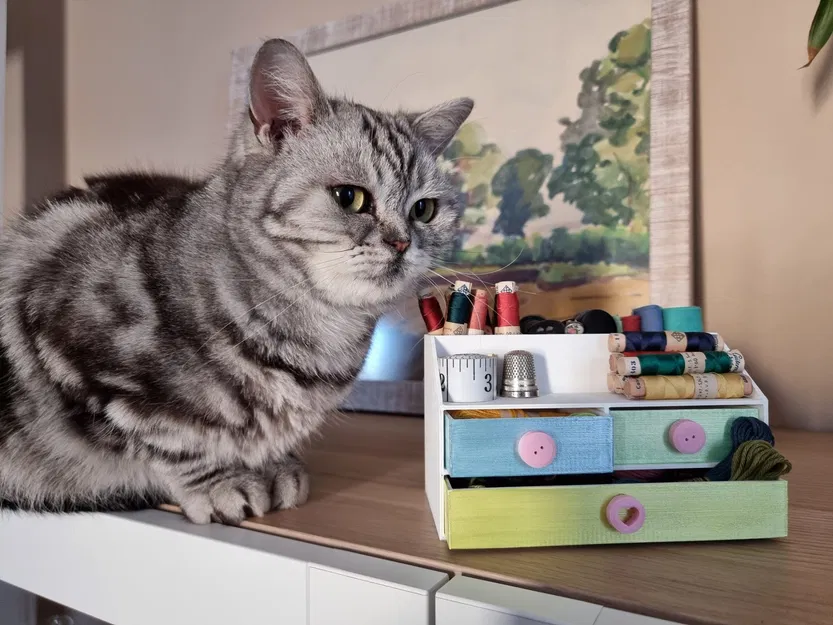 Hộp đựng kim chỉ chia thành ba phần tiện lợi cho việc in 3D - Image 3