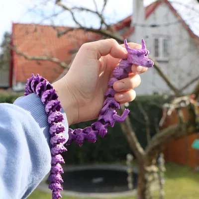 Rồng nghệ thuật có khớp linh hoạt từ FormFutura