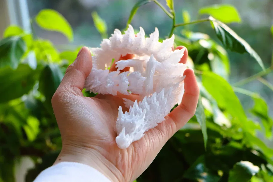 Rồng băng có khớp linh hoạt của p1lotz - Image 7