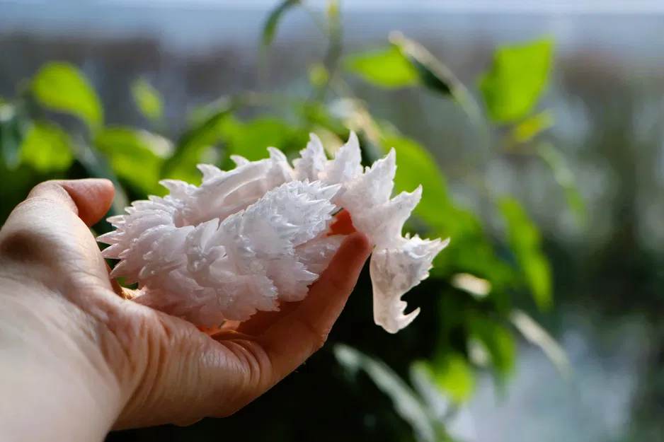 Rồng băng có khớp linh hoạt của p1lotz - Image 10