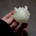Poro dễ thương từ trò chơi Liên Minh Huyền Thoại - Thumbnail 3
