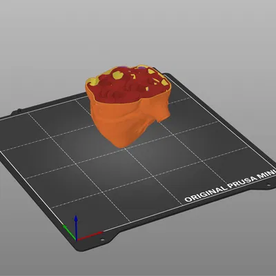 Trái tim giải phẫu 3D với cấu trúc rắn