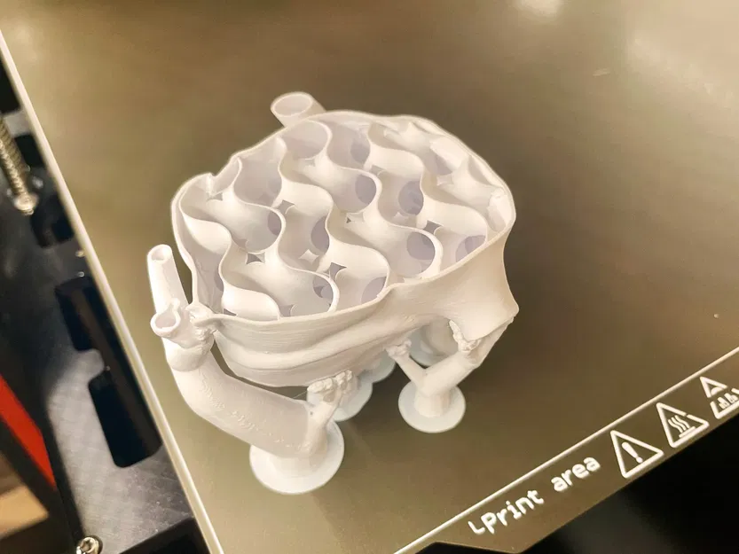 Trái tim giải phẫu 3D với cấu trúc rắn - Image 5